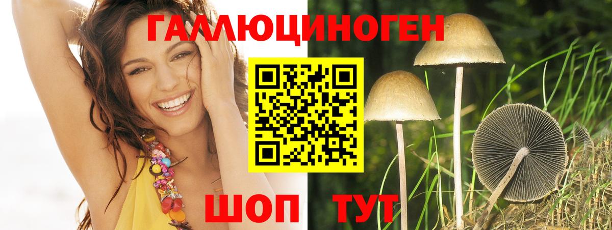 Галлюциногенные грибы Psilocybe  Вход с VPN  закладки  Губаха 